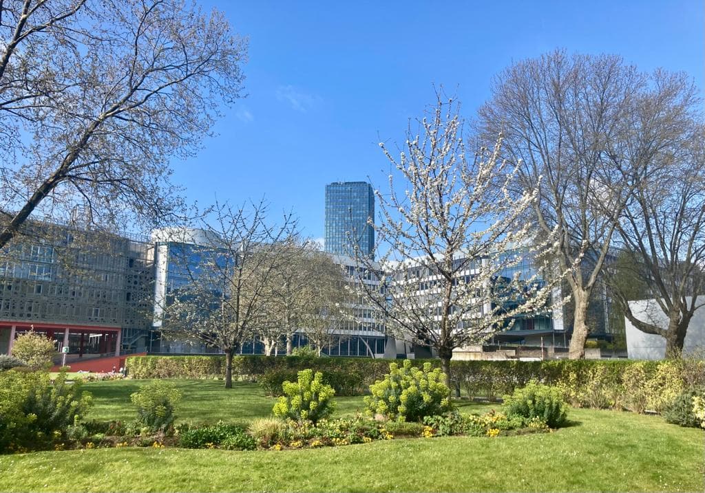 jussieu
